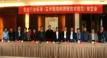 技术推广服务中心 驱动创新与产业升级的核心引擎