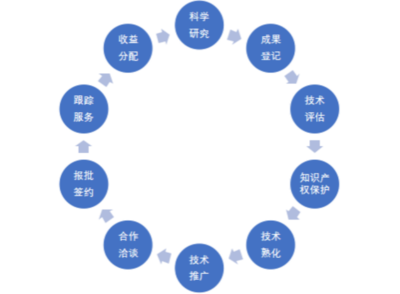 技术转移与技术推广服务的融合发展 驱动创新与产业升级的双引擎