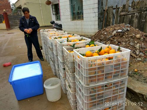 技术服务 宣传推广 农一网道县工作站 再出发